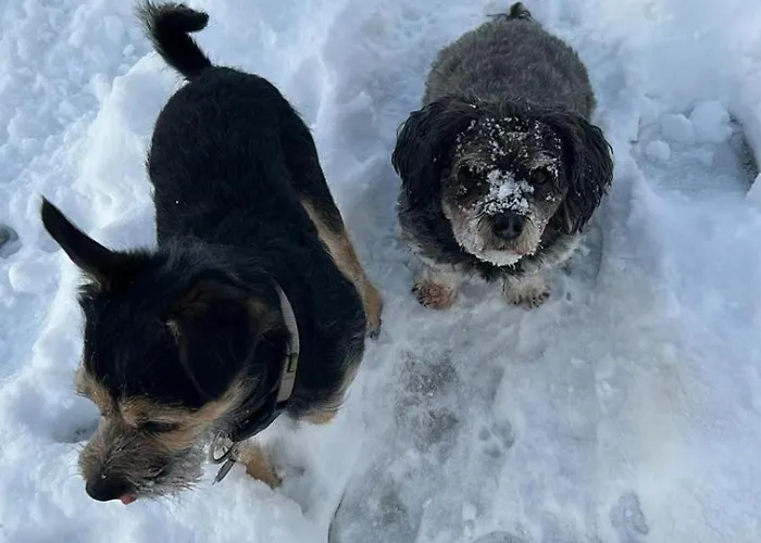 Waldhaus Bad Berleburg